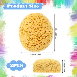 Ptwola 2 Pcs Texture Sponge Wall Ceiling Drywall Patch Sponge Repair Home Decor Sponge Artist Craft Sponge for DIY Art Painting Acrylic Watercolor Marbling Pottery Ceramics Texturing Leather Care