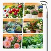 Vsoke Grow Light Indoor Plants,20wFull Spectrum Lamp,HeightAdjustable Stand