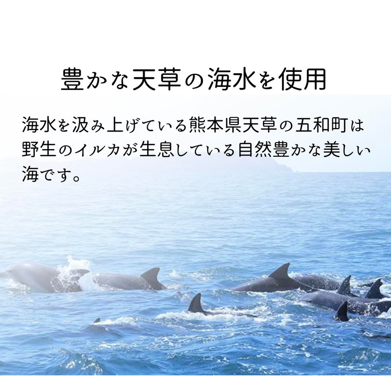 にがり はやさき水にがり 350ml 希少 食用 天然にがり 完全天日塩 人工加熱していないから海の栄養たっぷり マグネシウム Mg