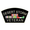 Desert Storm Veteran Bike Motorcycle Hat Cap Lapel Pin HP4998