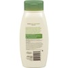 Aveeno Daily Moisturizing Body Wash, 18 Fl Oz (Pack Of