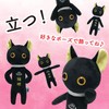 Mitzumi Cat Standing Cat Cat White Cat Black Cat Mascot