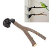 Wooden Perch, Easy Installation Interactive Beak Grinding Bird Branch Perch
