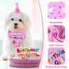 Birthday Hat Scarf Set for Small Dogs and Cats, Bandana