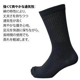 Hayashi SI705 Men's Silk Cotton, Military Feet, 3 Pairs Set, Thick, Antibacterial Silk for Comfort, Round Toe Socks, Silk is the Best, Black, 9.6 - 10.6 inches (24.5 - 27 cm), Black, M-L