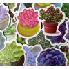 Undisclosed 100pc 1.5" Succulent Plant Cactus Stickers for Notebooks Water