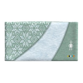 Smartwool Standard Thermal Merino Colorblock Headband, Arctic Green Digi Snow, One Size