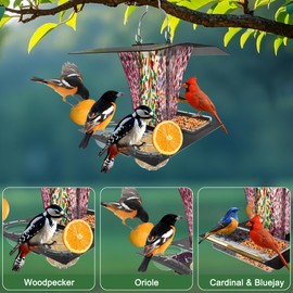 LUJII 6-in-1 Solar Bird Feeder with RGB String Lights, Hand Blown Glass, 2 Removable Trays for Bird Seed, Suet Ball, Mealworm, Oriole Orange Fruit, Jelly or Water, Purple