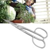 Bud Trimming Scissors Stainless Steel Floral Scissors Plant Shears Flowers