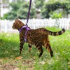 VKPETFR Cat Harness and Leash Set with Airtag Holder for