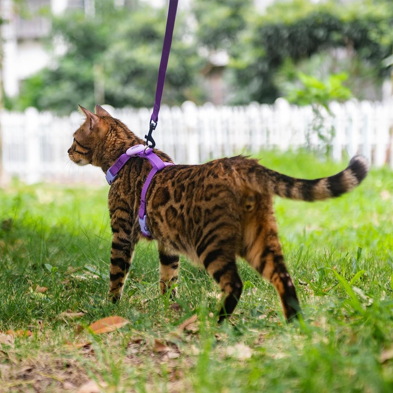 VKPETFR Cat Harness and Leash Set with Airtag Holder for