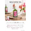 Weleda Wild Rose Oil, 3.4 fl oz (100 ml), Moisturizing,