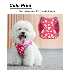JUFOO XS ROSEO Flower Pattern Dog Harness and Leash Set,No Escape Easy Walk Puppy Harnesses for Training Walking，Breathable Adjustable Puppy Vest for Small Medium Dogs, Cats (ROSEO, XS)