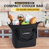 Lansru Mini Soft Cooler Bag | TPU Insulated Bag for