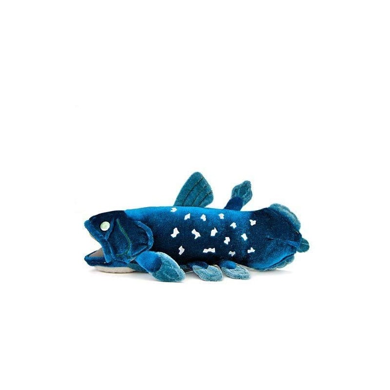 colorata coelacanth Plush Ancient Fish Small Size 4.3 x 4.1