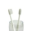 Commercial Disposable Toothbrushes (No Toothpaste) (10 Pieces + 1 Piece),
