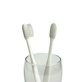 Commercial Disposable Toothbrushes (No Toothpaste) (10 Pieces + 1 Piece), Made in Japan, For Oral Hygienic, Cleaning, Industrial Use
