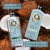 Herbal Essences Shampoo Classics Hidrata Agua De Coco & Jazmín
