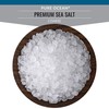 SaltWorks Premium Sea Salt, Coarse, Artisan Pour Spout Pouch, Pure