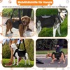 Dog Carrier: Dog Carrier - Full Body Leader with Handle