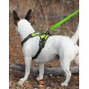 Heavy Dog Leashes for Large Dogs | Comfortable Padded Grip