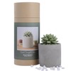Pretty Valley Home Reed Diffuser Set, 3.38 fl oz/100 ml