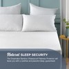 Dreamaker Fully Fitted 100% Bamboo Terry Waterproof Mattress Protector, Rustle