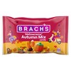 Brach's Autumn Mix, 11 oz