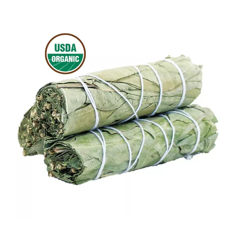 Eucalyptus Smudge Sticks (Pack of 3) House Cleansing, Energy Cleanse