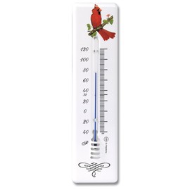 HOKCO Analog Wall Thermometer 8.5 inch Polyurethane Coated Steel (Cardinal Bird)