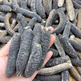 Dried Seafood Australia Sea Cucumber Hai Shen 澳洲小禿參 海參 Free worldwide airmail (250 grams (Around 9-10 pieces))