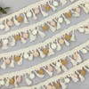 WANYI 1M Pom Pom Trim Pompoms Trims and Ribbons for