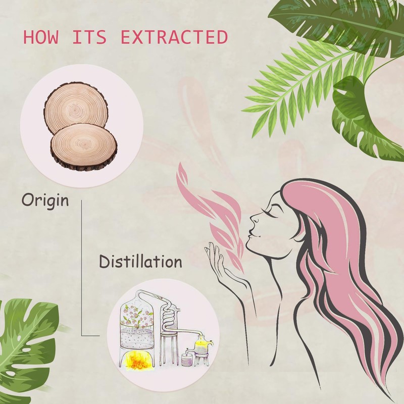 AOPING Hinoki Essential Oil - 100% Pure Organic Natural Plant