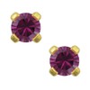 Studex Tiny Tips 3mm February/Amethyst CZ Birthstone Gold Plated Childrens
