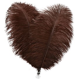 Soarer Brown 30pcs 8-10inch - Craft Ostrich Feathers for Handmade Crafts,Party Table Centerpieces,Dream Catcher DIY(Brown)