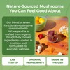 Ashwagandha Gummies and Lions Mane Mushroom Gummies Supplement - Organic
