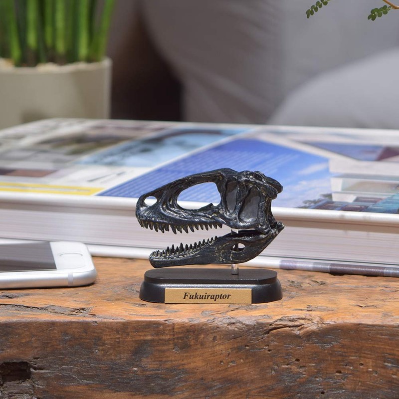 73510 Dinosaur hukuiraputoru Skull Mini Model (FDW – 510)