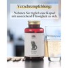 Kräuterhandel Sankt Anton – Iron capsules – 180 capsules –