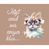 Farbwuselei Glasses Cleaning Cloth Cat Beige Jetzt Wird Mir einiges