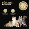 Peticare Anti-parasite agent for cats, against mites, fleas, fungi, effectively