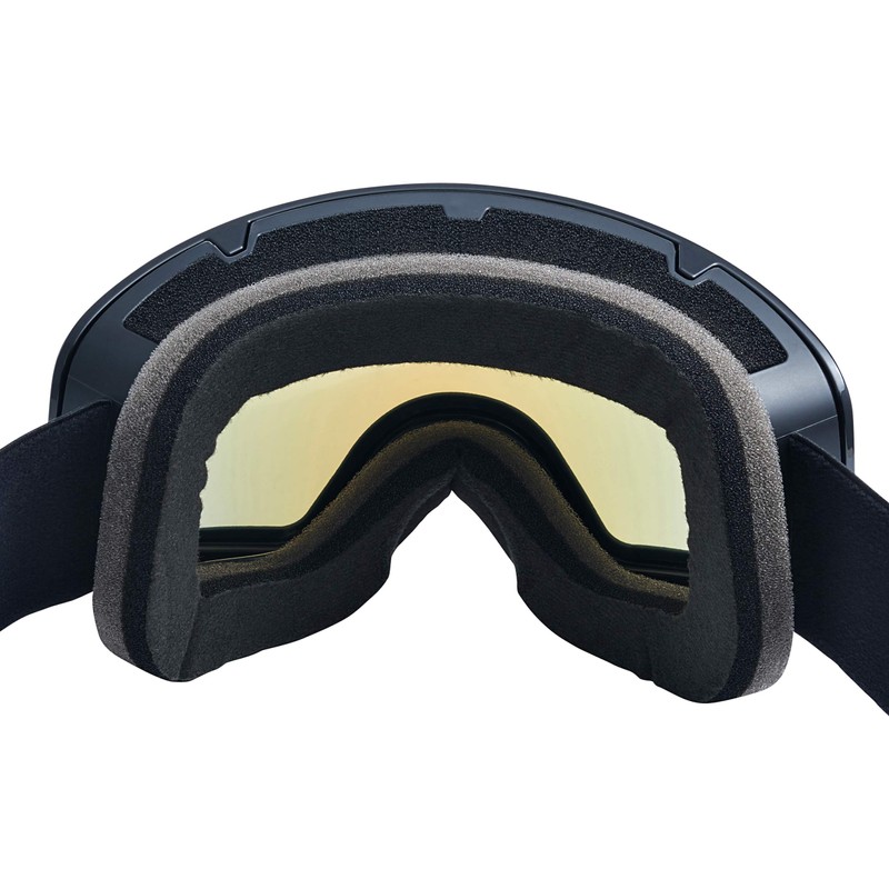 Black Crevice Unisex - Schladming Adult Ski Goggles White, Size