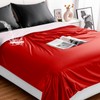 Tisancy Waterproof Bed Blanket Queen Size 78'' x 100'' Red