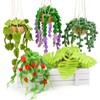 OEHPICC Needle Felting Kit, 5 Pack Hanging Plants Needle Felt