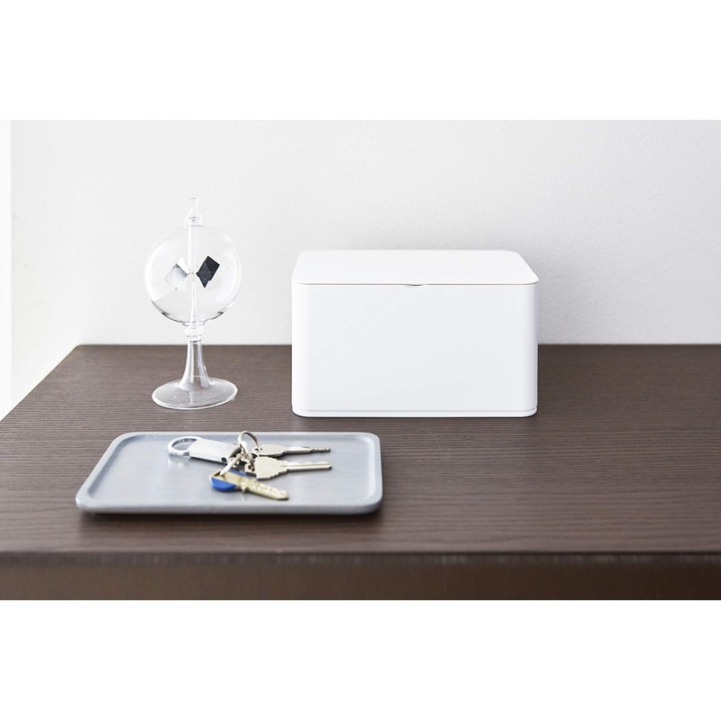 Yamazaki Smart Mask Case