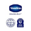 Vaseline Tarro de gelatina pura de 1.8 onzas (3 unidades)