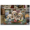 Educa Cachorros en el Equipaje Rompecabezas 500 Piezas