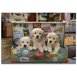Educa Cachorros en el Equipaje Rompecabezas 500 Piezas