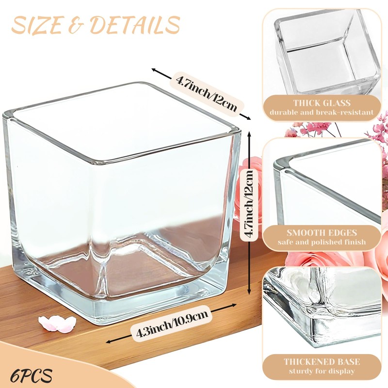 CONNOO 6 Pack Square Glass Vase 5" x 5" x