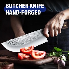 DRAGON RIOT Chef Butcher Knife Set for Meat Cutting, 4 Pcs Japanese Forged Chef Knives Set for Men and Women Gift for Men