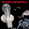 Spider Ant Water Feeder, Creative Altar Shape 3D Printed Waterer